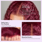 99J Burgundy Wig Human Hair 13x6 Deep Wave Lace Front Wigs Human Hair Pre-Plucked 99J Wine Red Colored Curly Human Hair Lace Frontal Wigs for Women